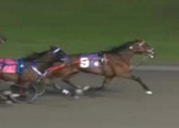 Raising Rusty rolls at Rideau