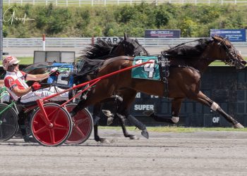 I’m Happy Hanover strolls to lifetime best mile