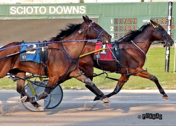 Curtain closes on 2022 Scioto Downs season