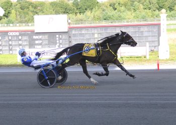 Team Gray scores triple at Plainridge