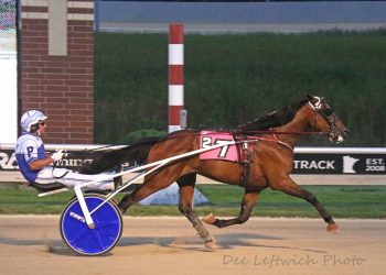 Eight straight wins and track record for Iron Sharpens Iron