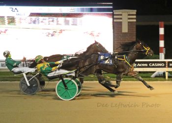 El’s Disco Johnny dances to victory in Open