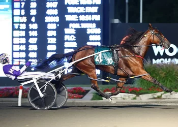 Test Of Faith does it easy in the $230,000 Milton Stakes