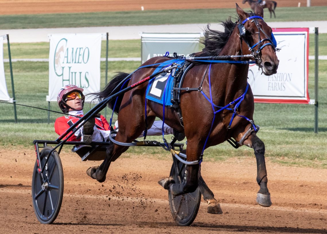 USA Harness Racing News Today | USA Racing News- Harnesslink