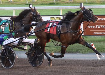 Grand Circuit trotters win New Jersey Classic finals
