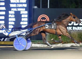 Gaines Hanover breaks record in Crown elim win
