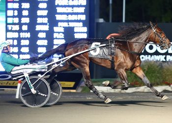 Sixth straight for Special Way in Crown elim romp