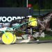Two-year-old pacers ready for Breeders Crown battles 2 Confederate, Handlelikeaporsche top freshman pacing Crown elims