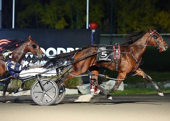 Sylvia Hanover scores seventh straight win in $810,000 Breeders Crown