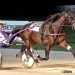 When Dovescry upsets champion mares in $250,000 Dayton Oaks Derby 2 Bulldog Hanover romps to 11th straight win