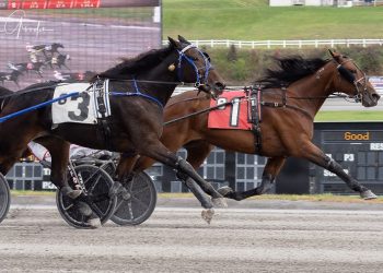 Second straight score for Mystical Peter