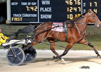 Later Dudes jogs in Open Pace