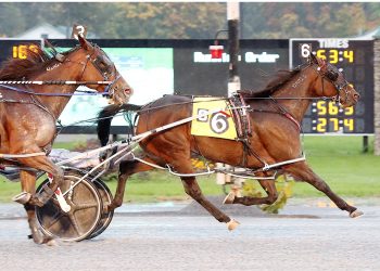 Beckwith Stable continues its roll