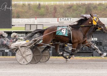 Two dead heats for win at The Meadows