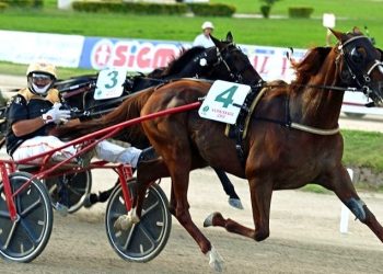 660,000€ Gran Premio Lotteria to Vernissage Grif