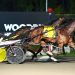 Rivals win Breeders Crown elims at Mohawk Park