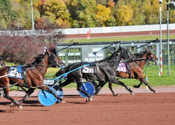Casual Cool calm and collected in Pocono score