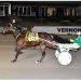 Second straight Open Trot win for Joxter