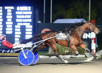 Effortless Breeders Crown repeat in Open Mare Trot
