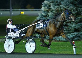 Grace Hill slays Test Of Faith in Breeders Crown