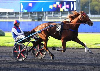 Four Group Tests held at Paris-Vincennes