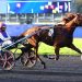 Four Group Tests held at Paris-Vincennes