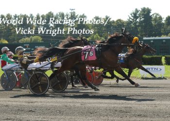 Freehold hosts NJSS Standardbred Dev. Fund Finals