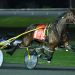 Downbytheseaside colts sweep sophomore Breeders Crown elims