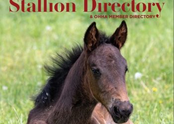 OHHA photo contest for 2023 Stallion Directory cover