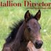 OHHA announces photo contest for 2026 Stallion Directory cover 2 OHHA photo contest for 2023 Stallion Directory cover