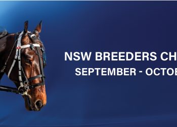 Speed the key for NSW Breeders Challenge qualifiers