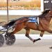 $60,000 Buckeye Stallion Series Finals held at Dayton