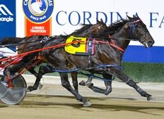 Better Be the Best springs an upset