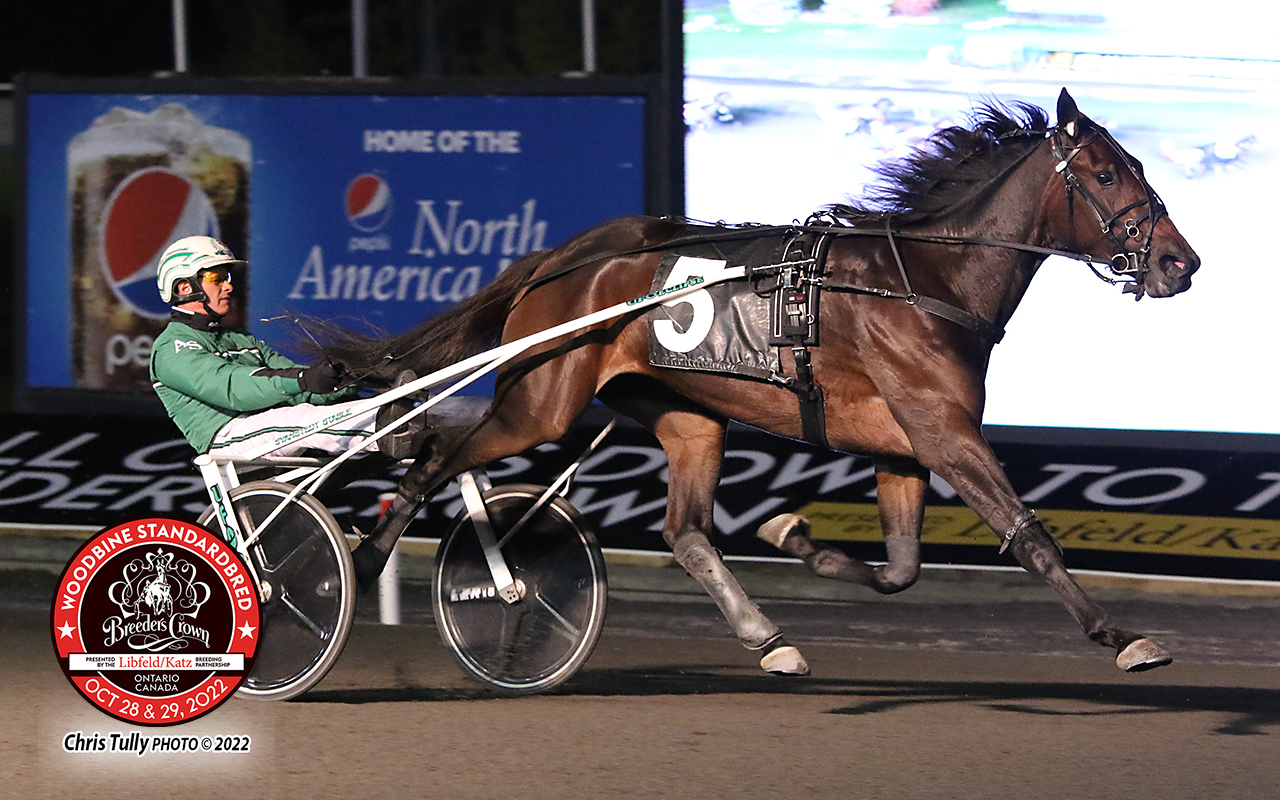 SPECIAL WAY had things her own way winning the $25,000 Breeders Crown 2-year-old filly trot elim. in 1:54.1.