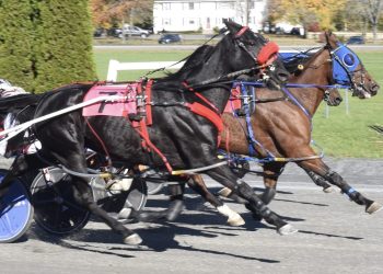 Case grinds out three at Bangor Raceway