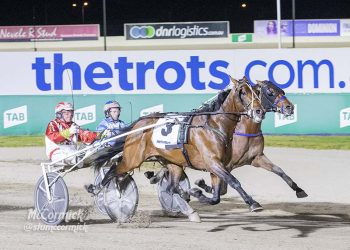 Feature trot winner ruled out of Inter Dominion