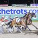 Feature trot winner ruled out of Inter Dominion