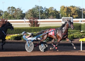 Pelling: Crown contender Allywag Hanover “a beast”