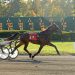 AHDC trot action held at Freehold Saturday