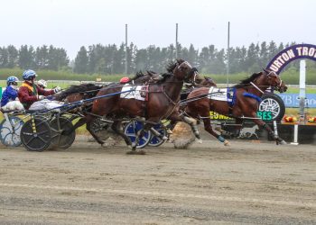 B D Joe team daring to dream