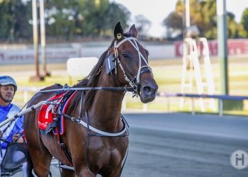 Golden Nugget taking shape