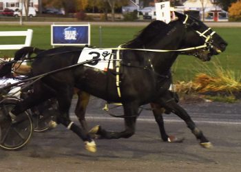 Ranger and Case battle it out at Bangor