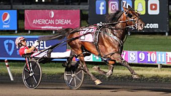 Retirement ceremonies for Atlanta and Bulldog Hanover