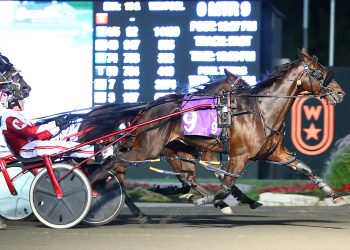 Three-year-old pacers hit best stride in $60,000 Grassroots Finals