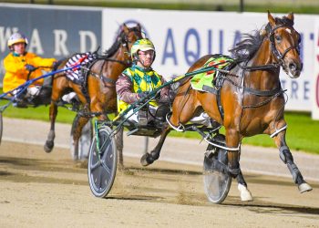 Hewitt knocking on Breeders Challenge glory