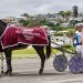 Turpin’s trotting feature race haul