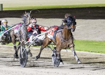 A Group success at first metropolitan drive