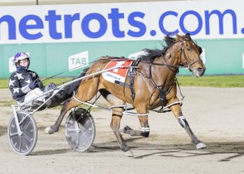 A Rocknroll Dance winners everywhere