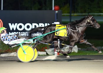 Elim posts drawn for $1 million North America Cup