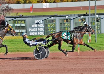 Foget and Distance Learning go the distance